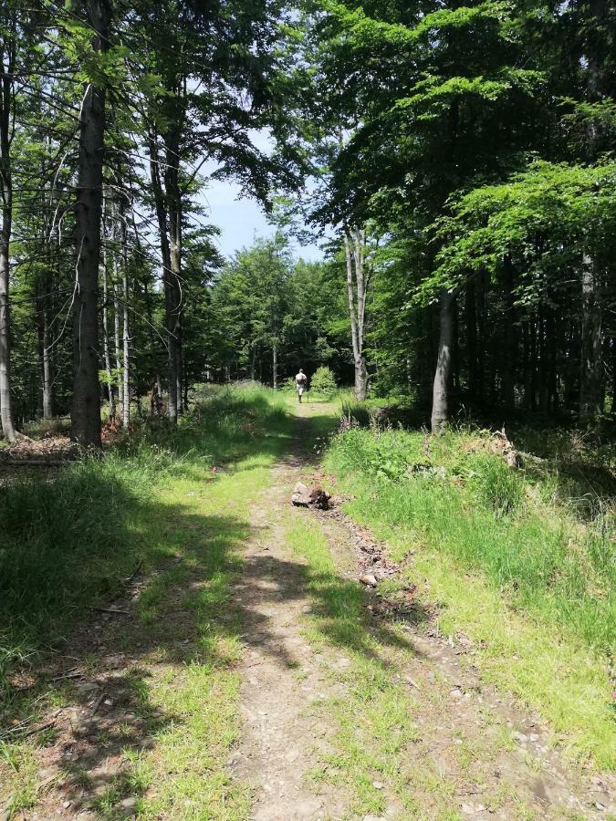 Domek Skalite W Szczyrku Exteriér fotografie